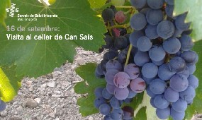 Visita can Sais