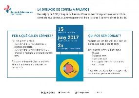 c&ograve;rnia