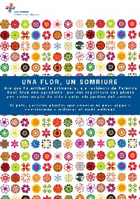 Flor Somriure